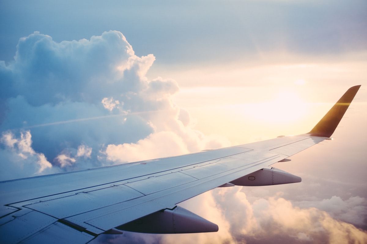 Airport Transfer vs Self-Drive in Zanzibar: Which is Right for You?