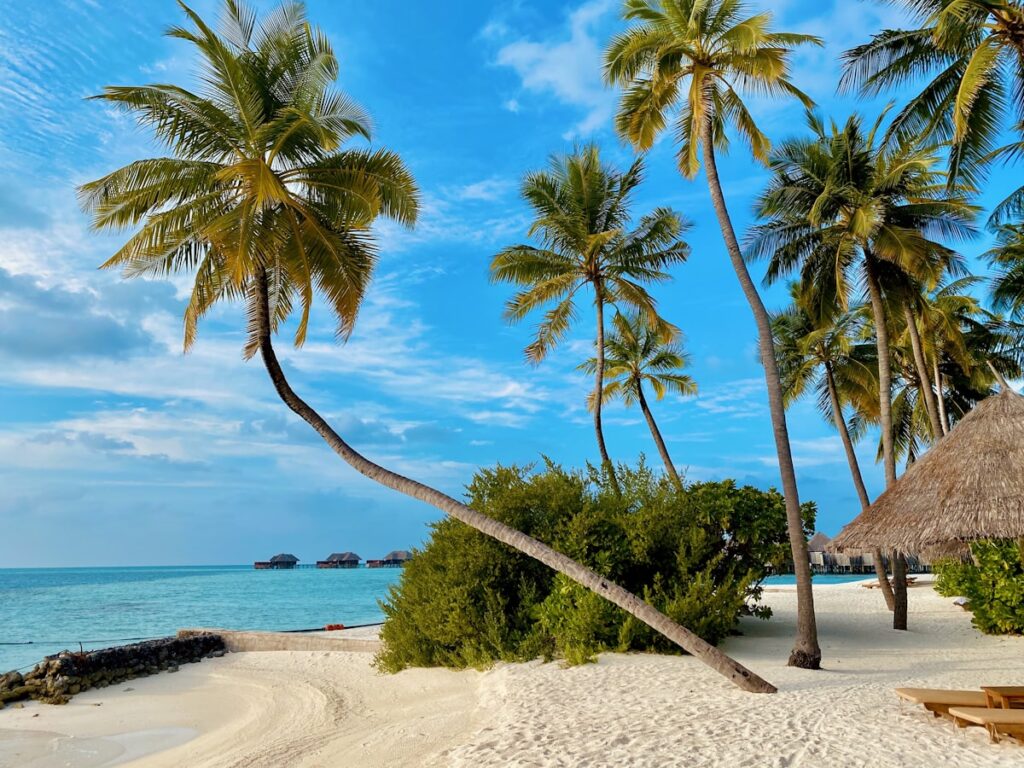 Zanzibar coastline